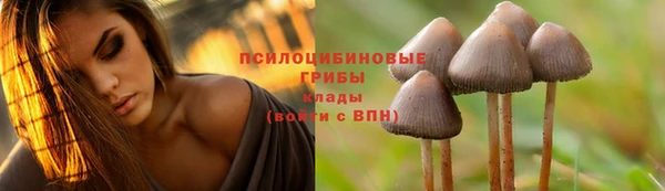 ECSTASY Алексин