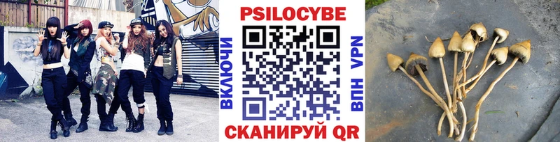 мега ONION  мориарти клад  Галлюциногенные грибы Psilocybine cubensis  хочу наркоту  Павловский Посад 